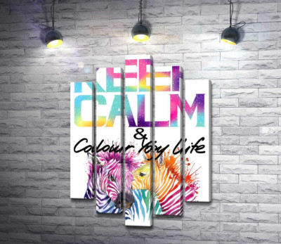 Яркие зебры под надписью "keep calm and colour your life"