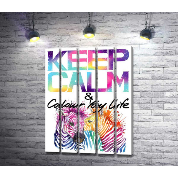 Яскраві зебри під написом "keep calm and colour your life"