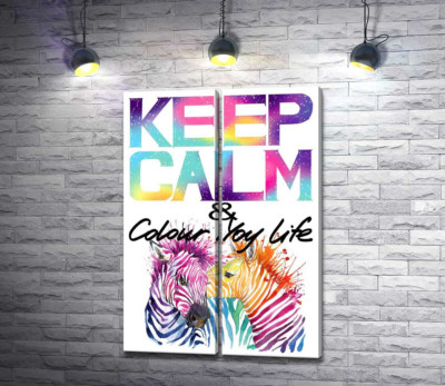 Модульна картина "Яскраві зебри під написом "keep calm and colour your life""