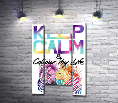 Модульна картина "Яскраві зебри під написом "keep calm and colour your life""