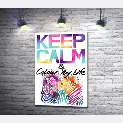 Яскраві зебри під написом "keep calm and colour your life"