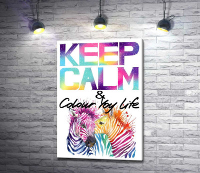 Яркие зебры под надписью "keep calm and colour your life"