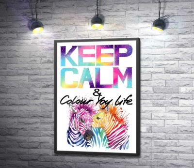 Постер "Яркие зебры под надписью "keep calm and colour your life""