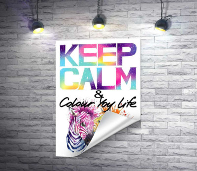Яркие зебры под надписью "keep calm and colour your life"