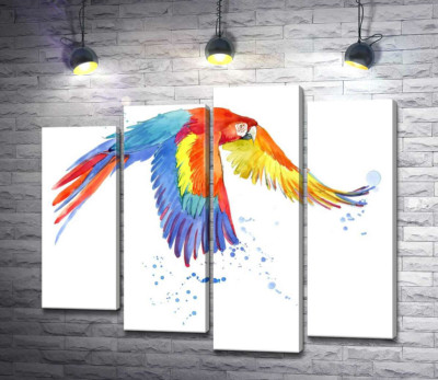 Папуга ара розкрив крила в польоті