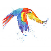 Папуга ара розкрив крила в польоті