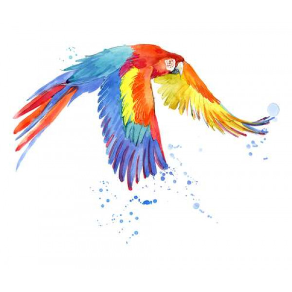 Папуга ара розкрив крила в польоті