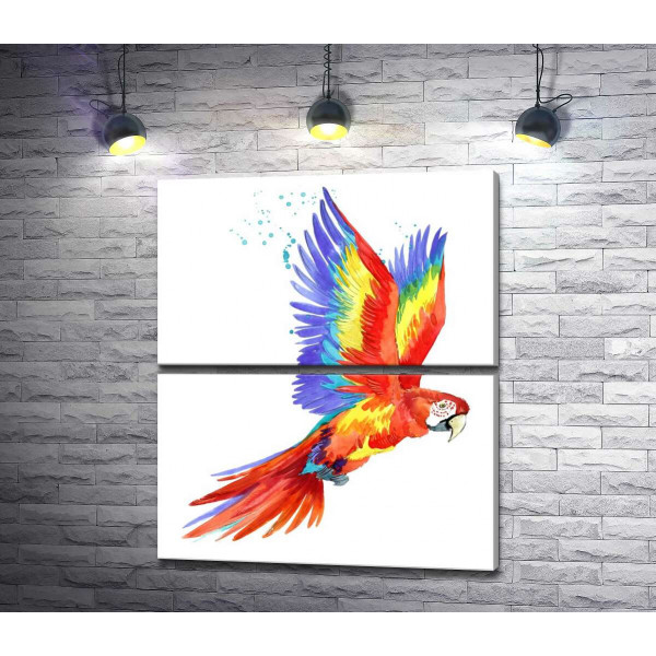 Червоний папуга ара підняв крила в польоті