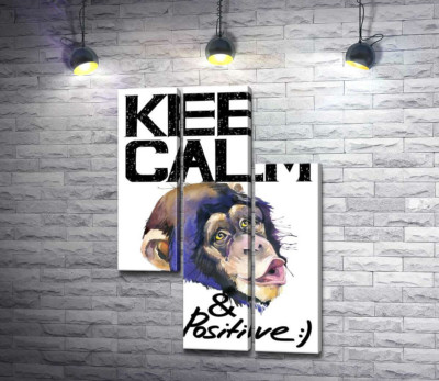 Модульна картина "Мордочка мавпи серед напису "keep calm and be positive""