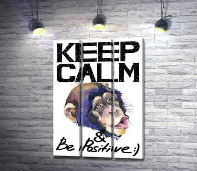 Модульная картина "Мордочка обезьяны среди надписи "keep calm and be positive""