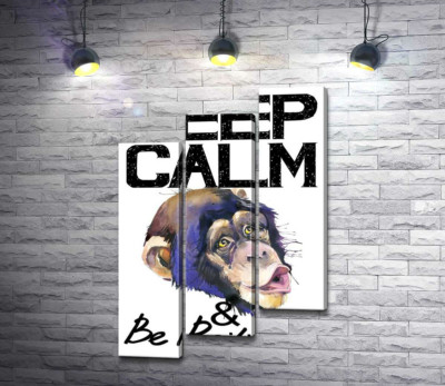 Модульна картина "Мордочка мавпи серед напису "keep calm and be positive""