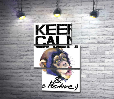 Модульная картина "Мордочка обезьяны среди надписи "keep calm and be positive""