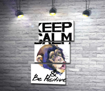 Мордочка обезьяны среди надписи "keep calm and be positive"