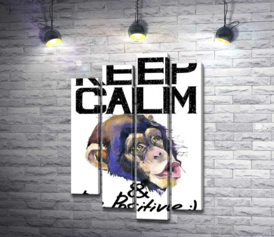 Мордочка мавпи серед напису "keep calm and be positive"