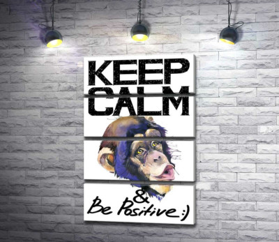 Мордочка мавпи серед напису "keep calm and be positive"