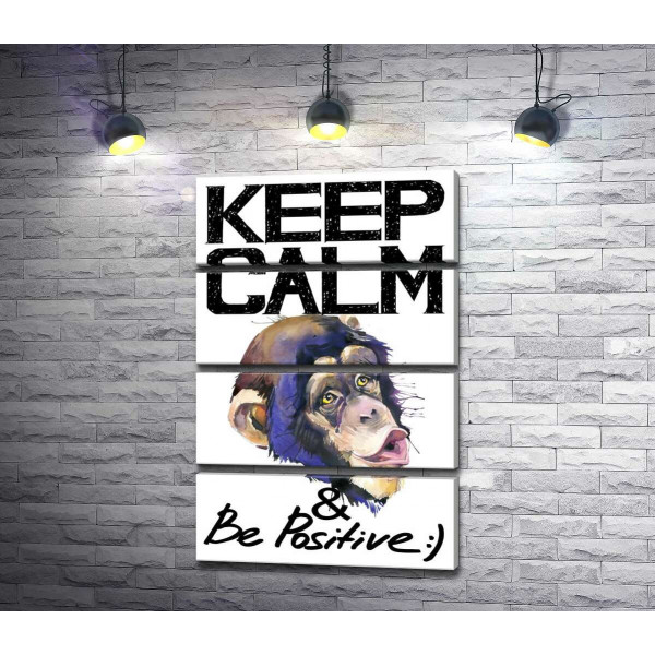 Мордочка мавпи серед напису "keep calm and be positive"