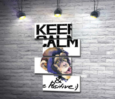 Мордочка мавпи серед напису "keep calm and be positive"