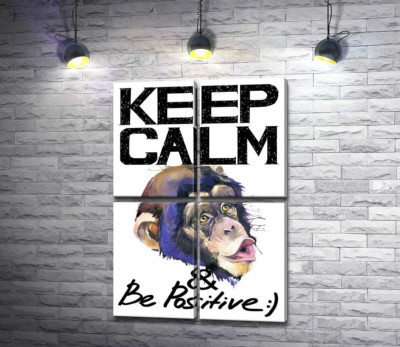 Модульная картина "Мордочка обезьяны среди надписи "keep calm and be positive""