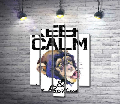 Модульна картина "Мордочка мавпи серед напису "keep calm and be positive""