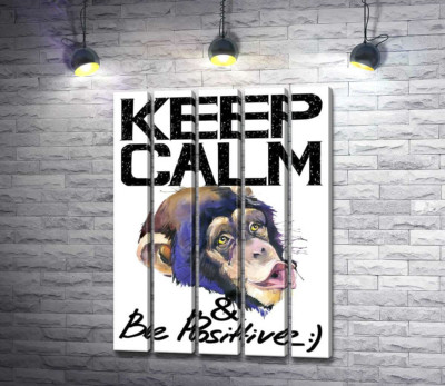 Модульная картина "Мордочка обезьяны среди надписи "keep calm and be positive""
