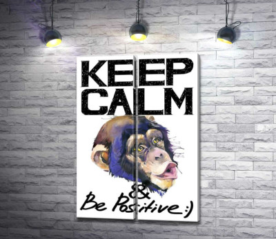 Модульна картина "Мордочка мавпи серед напису "keep calm and be positive""