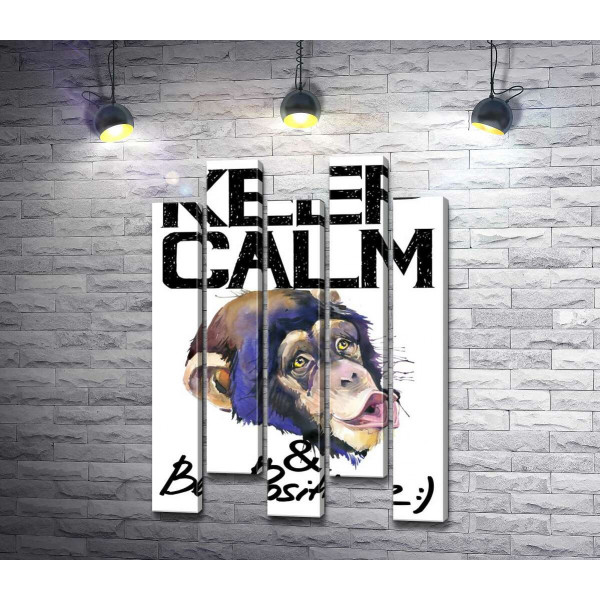 Мордочка обезьяны среди надписи "keep calm and be positive"