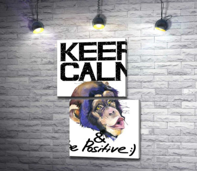 Модульна картина "Мордочка мавпи серед напису "keep calm and be positive""