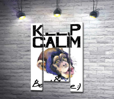 Модульна картина "Мордочка мавпи серед напису "keep calm and be positive""