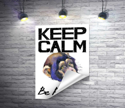 Мордочка мавпи серед напису "keep calm and be positive"