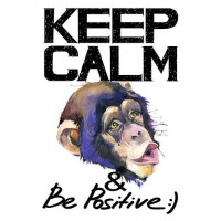 Мордочка мавпи серед напису "keep calm and be positive"