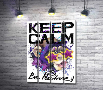 Мавпа в зіркових окулярах серед напису "keep calm and be positive"