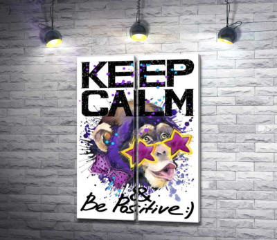 Модульна картина "Мавпа в зіркових окулярах серед напису "keep calm and be positive""