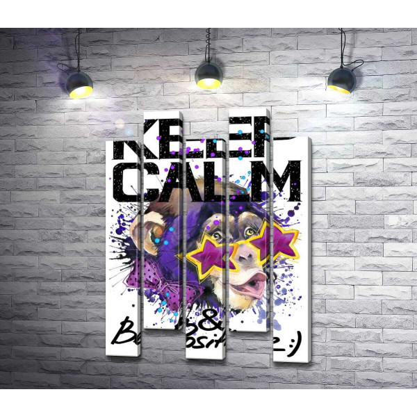 Обезьяна в звездных очках среди надписи "keep calm and be positive"