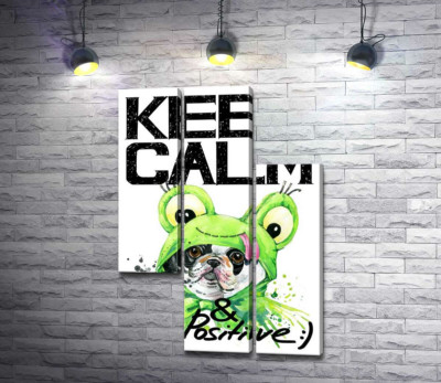 Модульна картина "Мопс в зеленому костюмі жаби під написом "keep calm and be positive""