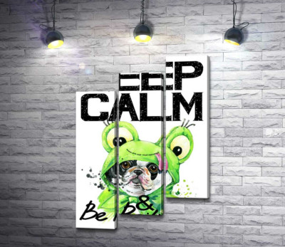 Модульная картина "Мопс в зеленом костюме лягушки под надписью "keep calm and be positive""