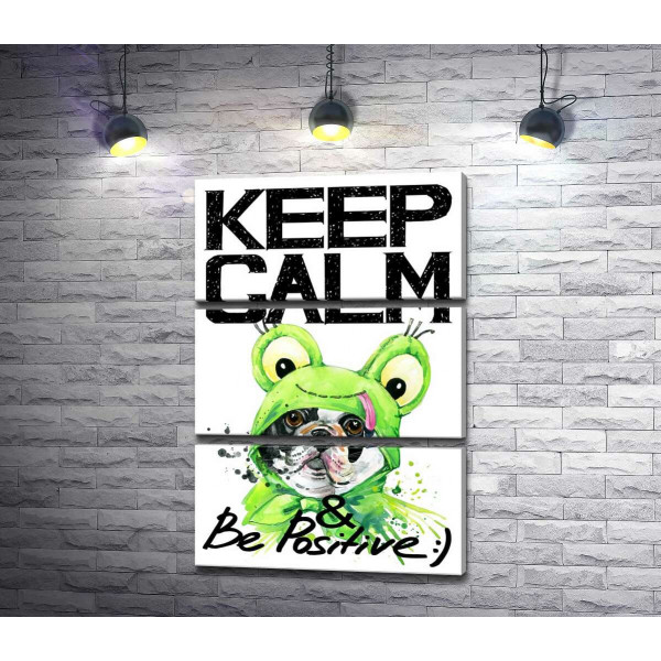 Мопс в зеленому костюмі жаби під написом "keep calm and be positive"