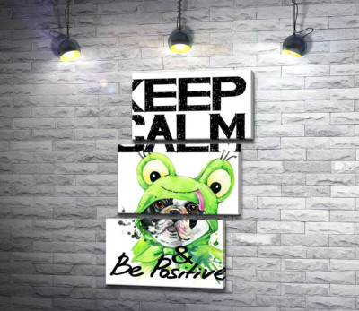 Модульная картина "Мопс в зеленом костюме лягушки под надписью "keep calm and be positive""