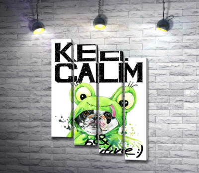 Мопс в зеленому костюмі жаби під написом "keep calm and be positive"