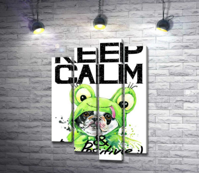 Модульная картина "Мопс в зеленом костюме лягушки под надписью "keep calm and be positive""