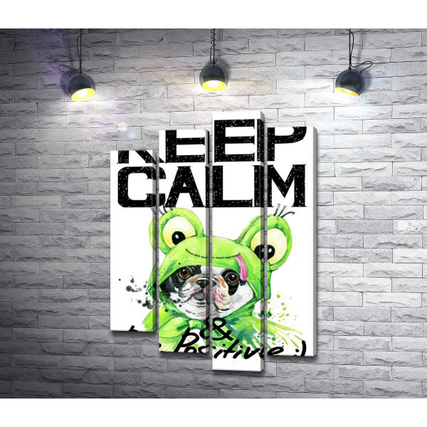 Мопс в зеленом костюме лягушки под надписью "keep calm and be positive"