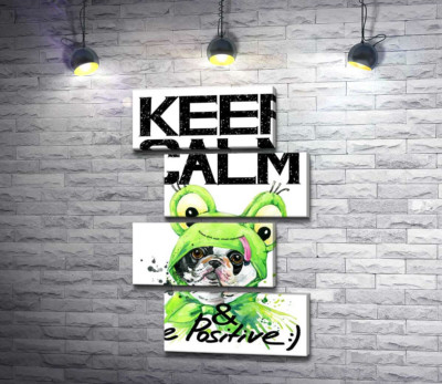 Мопс в зеленом костюме лягушки под надписью "keep calm and be positive"