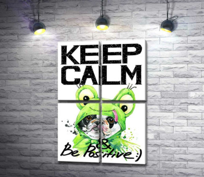Модульная картина "Мопс в зеленом костюме лягушки под надписью "keep calm and be positive""