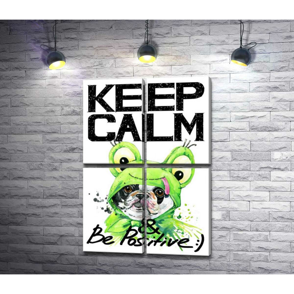 Мопс в зеленом костюме лягушки под надписью "keep calm and be positive"