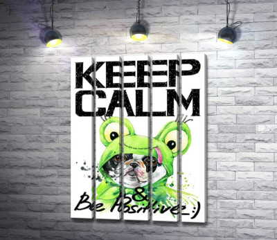 Мопс в зеленом костюме лягушки под надписью "keep calm and be positive"