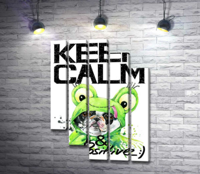 Мопс в зеленом костюме лягушки под надписью "keep calm and be positive"