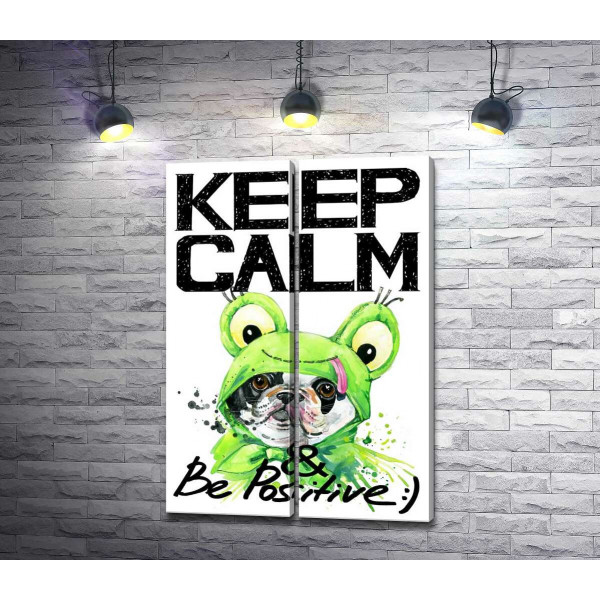 Мопс в зеленому костюмі жаби під написом "keep calm and be positive"