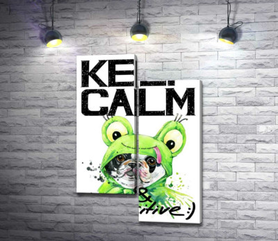 Модульна картина "Мопс в зеленому костюмі жаби під написом "keep calm and be positive""