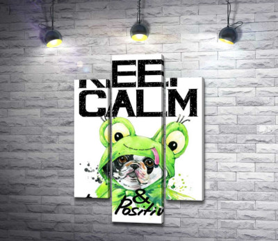 Модульная картина "Мопс в зеленом костюме лягушки под надписью "keep calm and be positive""