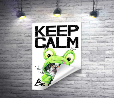 Мопс в зеленом костюме лягушки под надписью "keep calm and be positive"