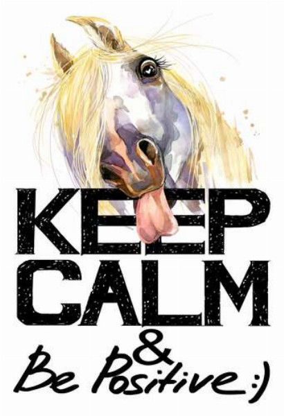 Белый конь показывает язык над надписью "keep calm and be positive"